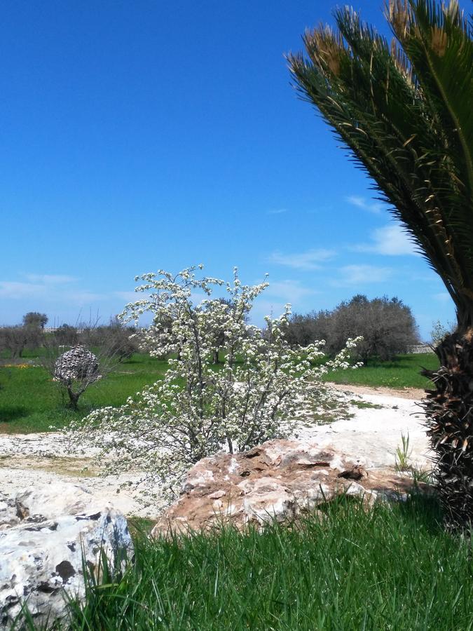 Trulli Pietra Preziosa Ξενοδοχείο Μαρτίνα Φράνκα Εξωτερικό φωτογραφία